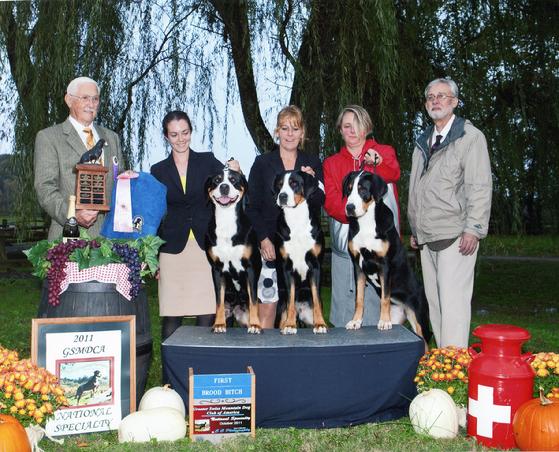 Wildest Dream Intangible win Greater Swiss Mountain Dog National Championship top brood bitch honor.  